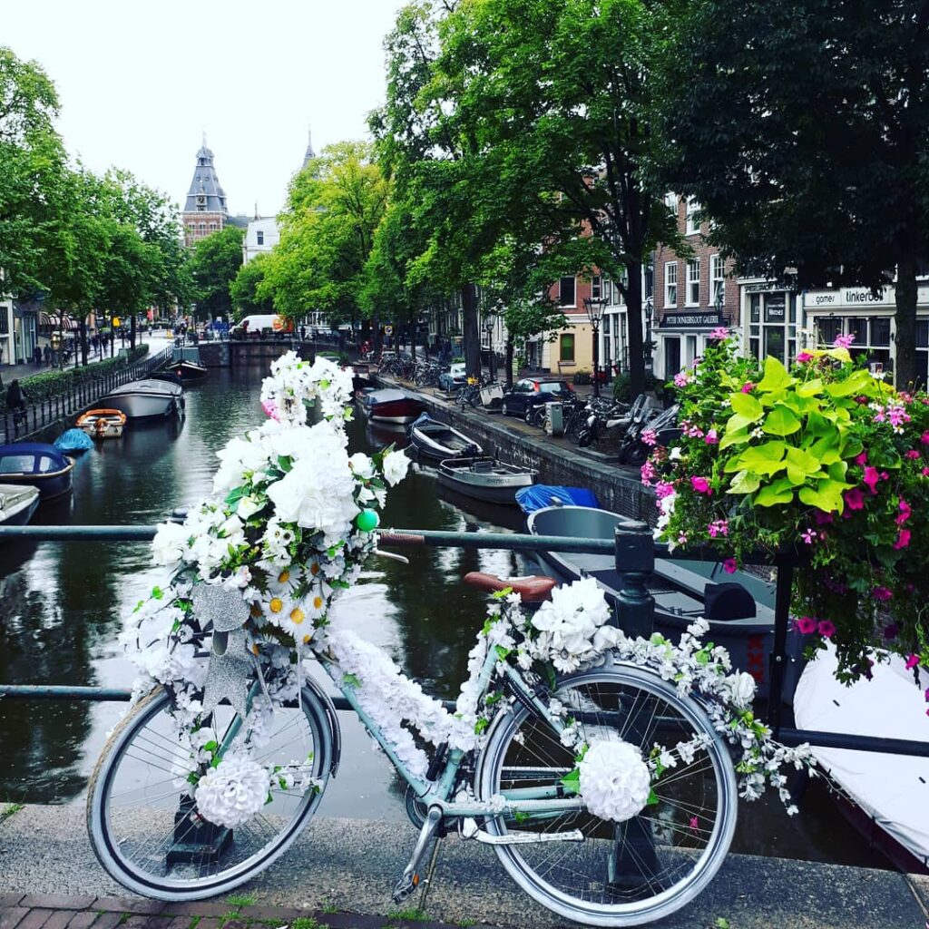 Flowers on wheels the fun floral bikes of Amsterdam